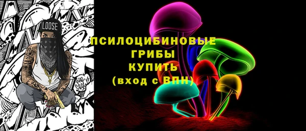 дмт Аркадак