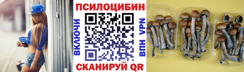 Галлюциногенные грибы мицелий  Могоча 