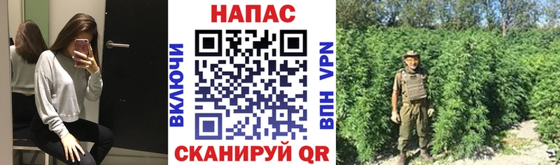 Марихуана THC 21%  мориарти официальный сайт  Могоча 